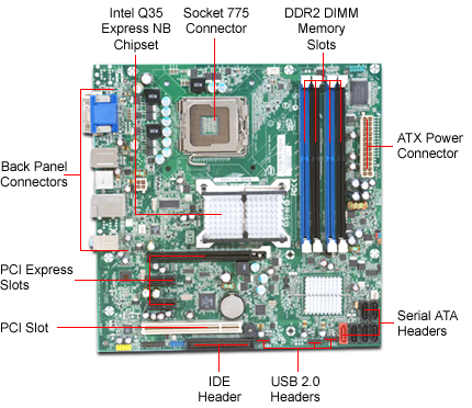 ASUSMOBO